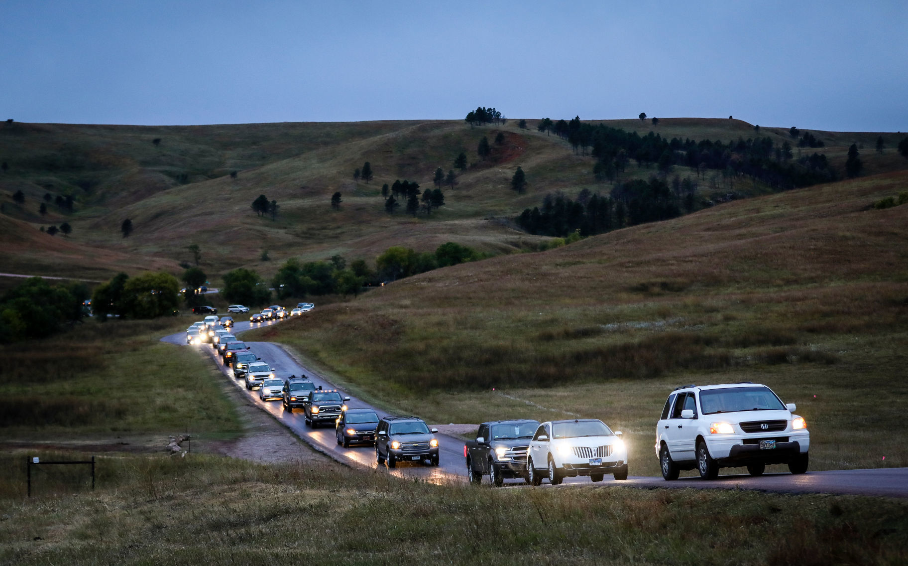 54th Annual Buffalo Roundup at Custer State Park